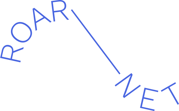 roar net_small_blue1_scaled
